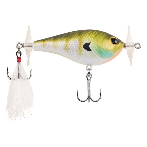Bluegill