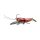 Red Craw