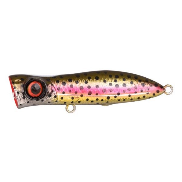 Rainbow Trout