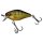 Perch