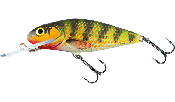 Holographic Perch