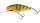Holographic Perch