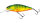 Hot Perch