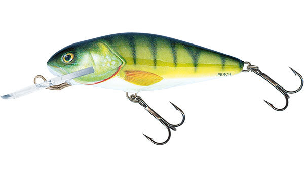 Perch