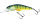 Perch