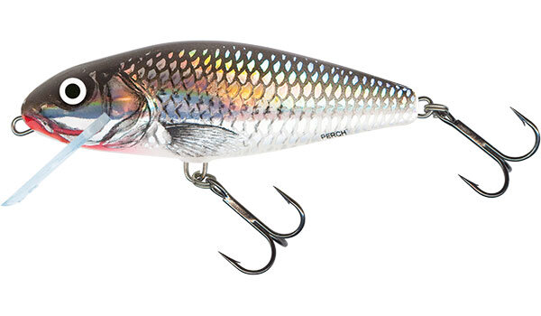 Holographic Grey Shiner