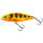 Yellow Red Tiger