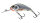 Silver Holographic Shad