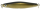 Gold Black