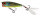 Real Hot Bluegill