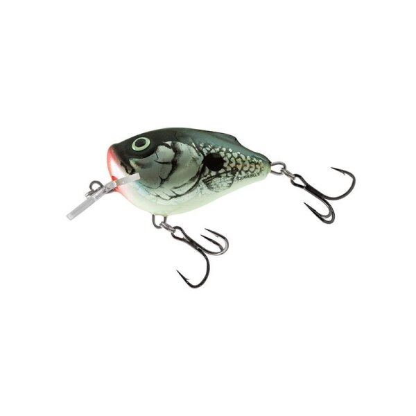 Holo Grey Shad