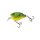 Hot Perch