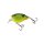 Chartreuse Shad