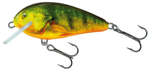 Hot Perch