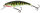 Holographic Stickleback