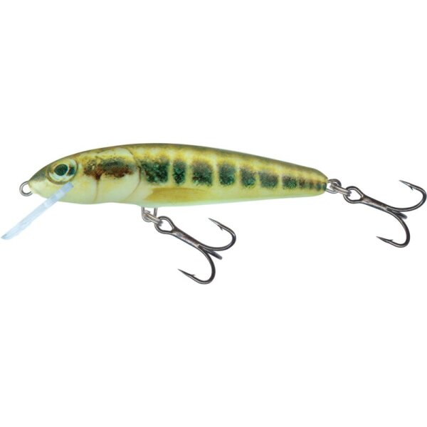 Minnow