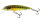 Holo Real Minnow