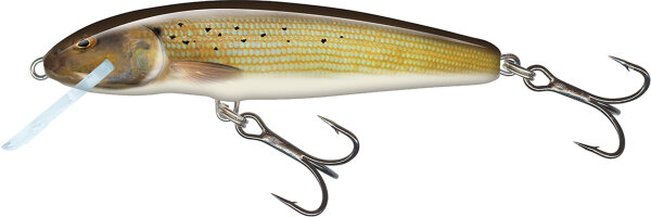 Grayling