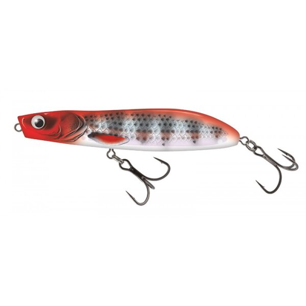 Holo Red Head Striper