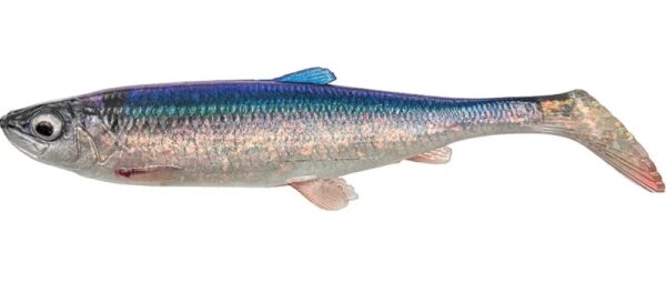 Herring