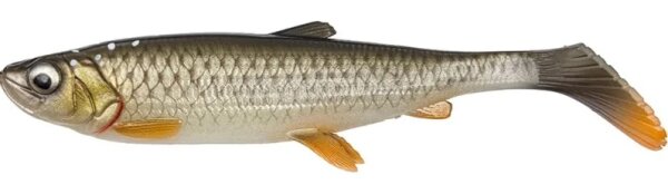 Bream