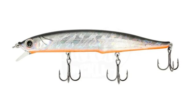 Silver Shad OB