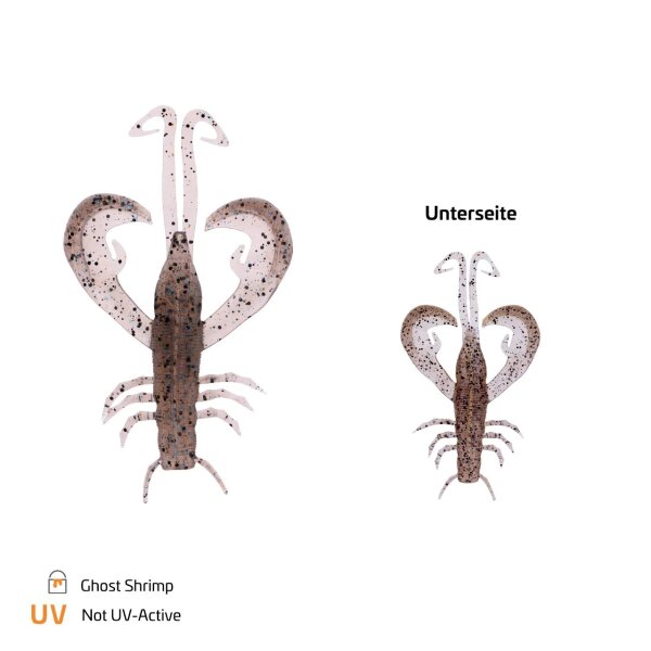 Ghost Shrimp