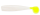 Albino Chart Tail