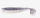 Firecracker Shad