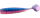 Blue Persuasion
