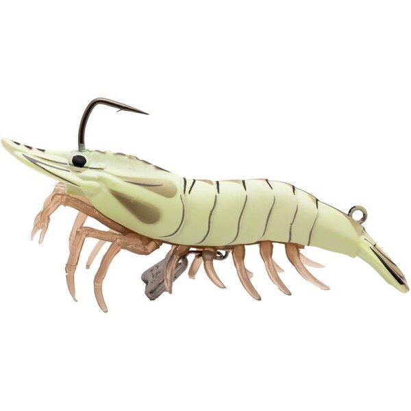 Glow Shrimp