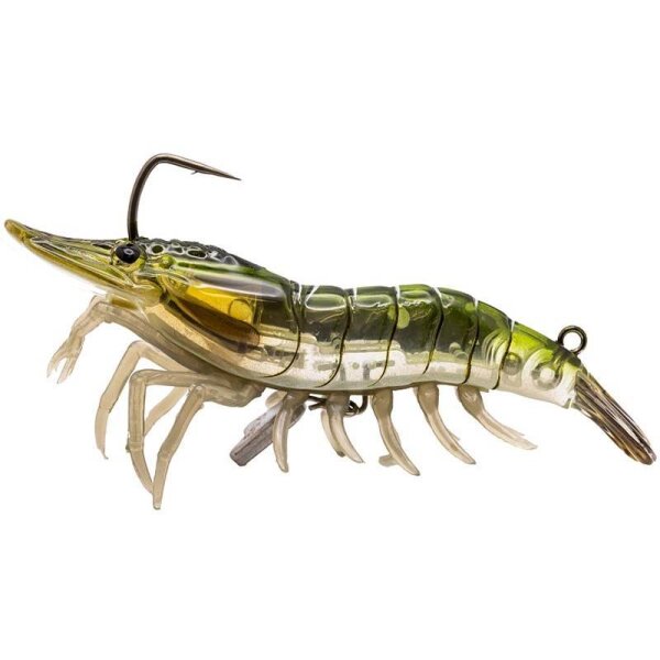 Grass Shrimp