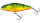Hot Perch