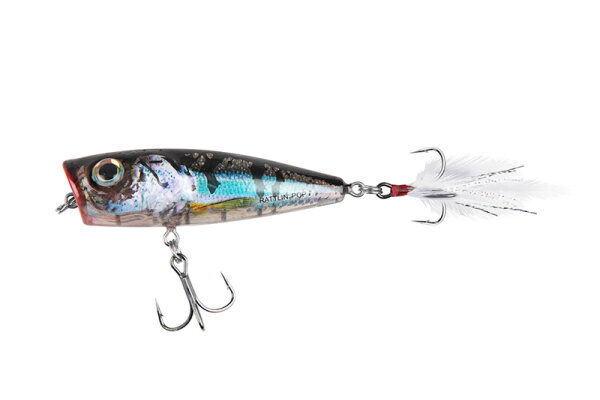Clear Holo Smelt