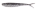 Silver Pepper Shiner