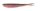 Watermelon Candy Shad