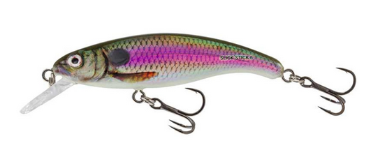 Spot Bait