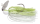Gizzard Shad