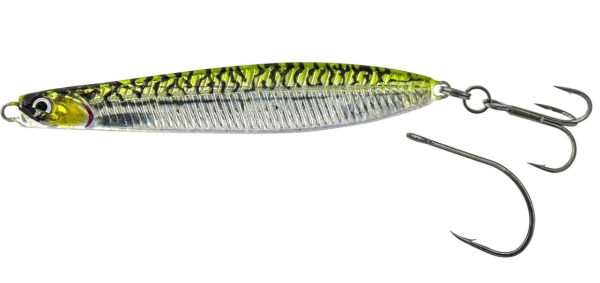 Green Mackerel