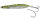 Green Mackerel