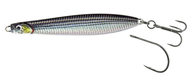 Silver Black Mullet