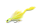 Chartreuse White