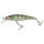 Magic Green Perch