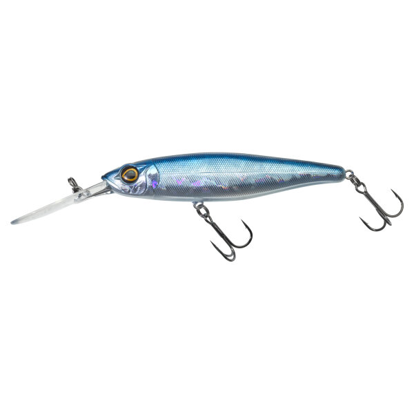 Blue Shad