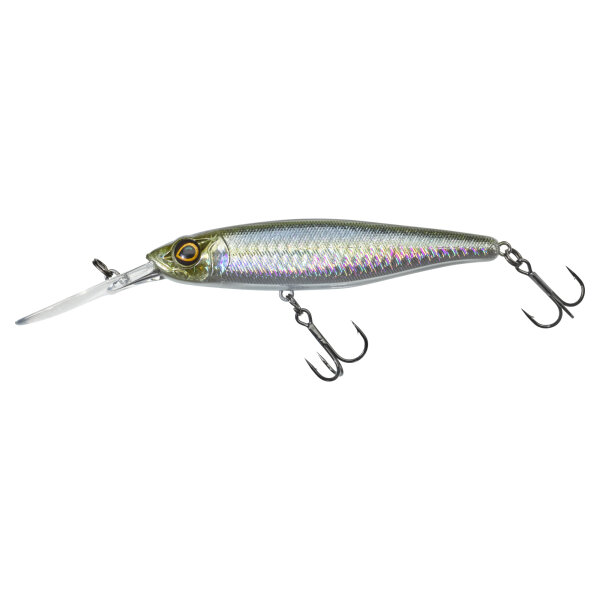 HS Minnow