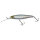 HS Minnow