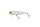 Bone