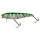 HL Sunfish