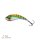 Bluegill