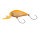 Hypo Orange